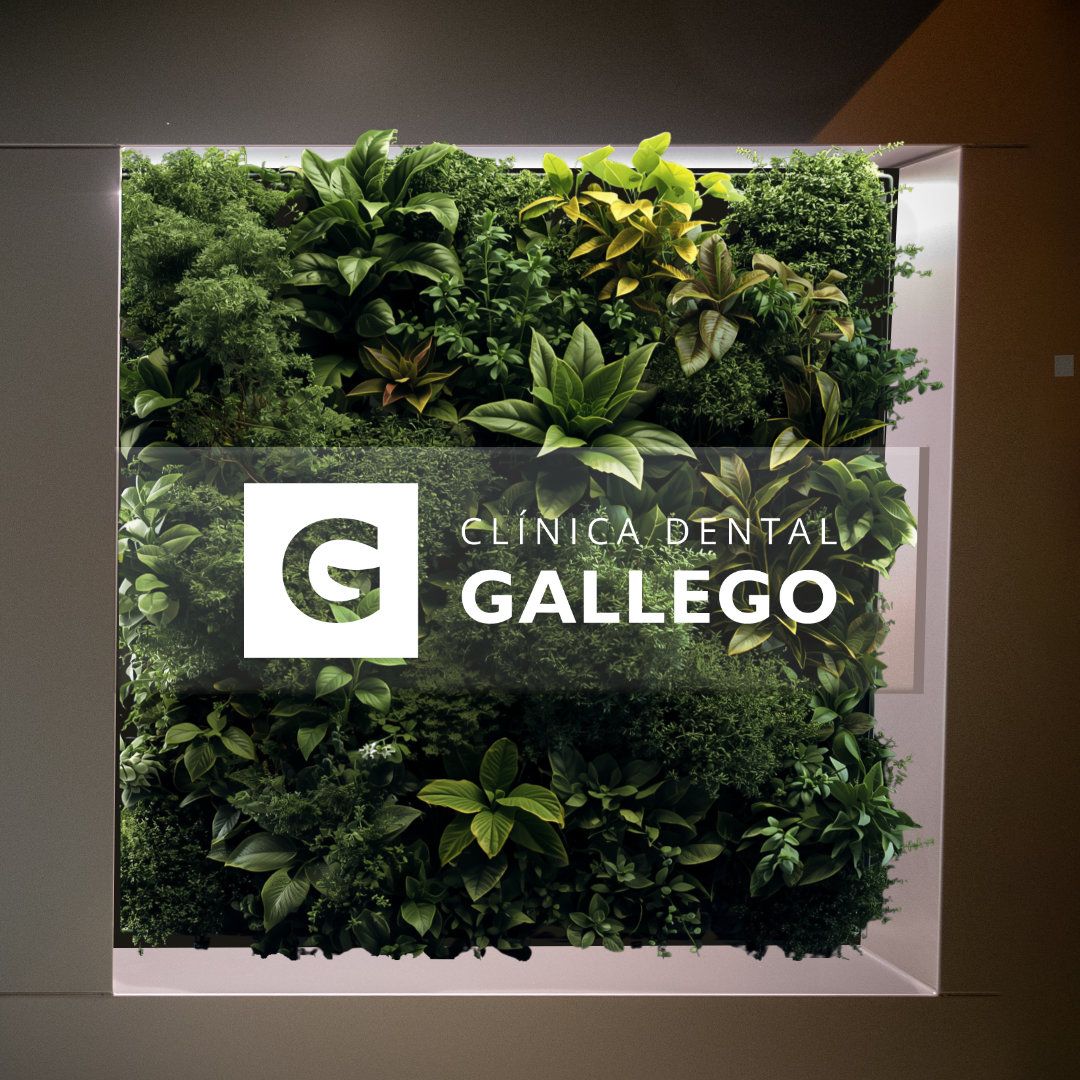 Clínica Dental Gallego | ReBranding · Rotulación exterior