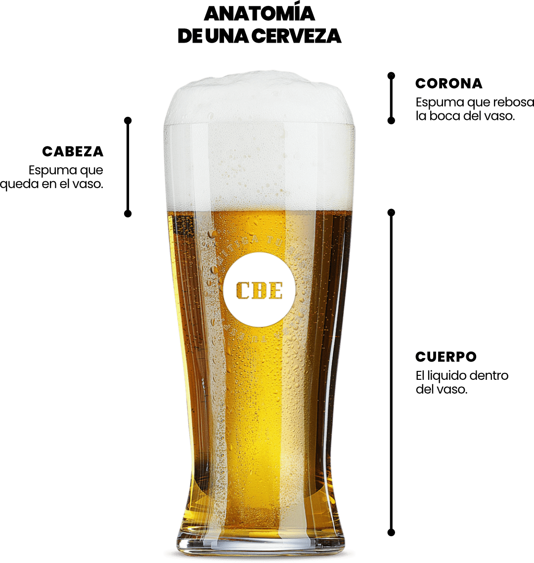 Corona Ð Espuma | Anatomía de una cerveza