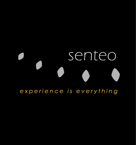 Senteo Co. | Rebranding · Antigua identidad de marca
